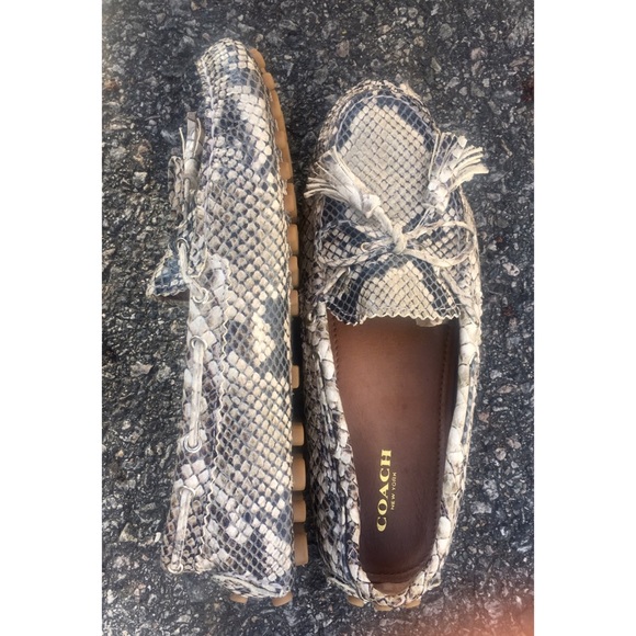 COACH Snakeskin Leather Driving Loafer NEW Sz7 - Picture 4 of 8